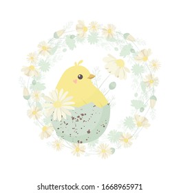 Happy easter illustrution with a funny yellow chick in eggshell. Vector illustration