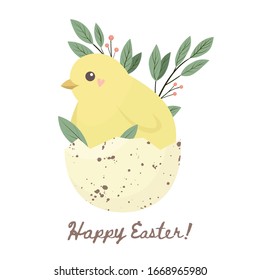 Happy easter illustrution with a funny yellow chick in eggshell. Vector illustration