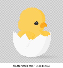Happy Easter! Little cartoon chick. Funny yellow chicken baby, Easter chick. Elements for Easter design and print. Vector illustration on transparent background. PNG.