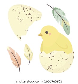 Happy easter set illustrution with a funny yellow chick in eggshell. Vector illustration