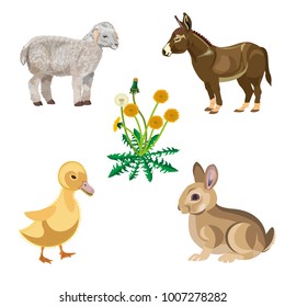 Happy Easter theme with rabbit, donkey, lamb and duckling. Vector illustration isolated on white background