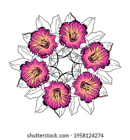 Happy Easter wreath with pink flowers narcissus, daffodils drawn by hand. Bright colored gradient vector floral element isolated on white background.