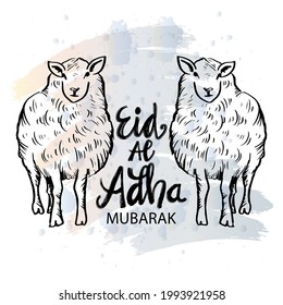 Happy Eid al-Adha with lamb. Celebration of Muslim holiday