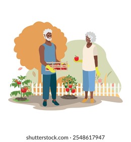 Happy elderly couple harvesting tomatoes, bell peppers and apples in their garden. Happy Thanksgiving. Active pensioner. Vector illustration.