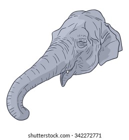 Happy elephant face