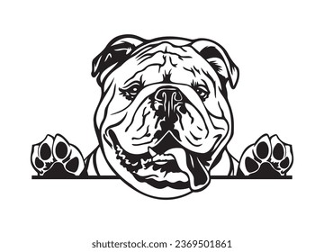 Perro de búsqueda de Bulldog inglés feliz. Retrato de Bulldog. Ilustración vectorial en blanco y negro.