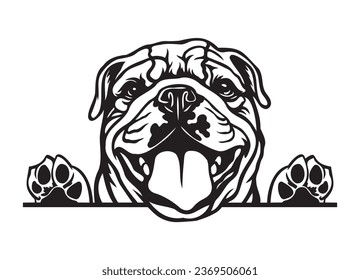 Happy English Bulldog peeking dog. Bulldog portrait. Black and white vector illustration.