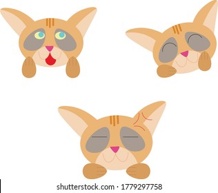 happy face sweet little cat