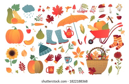 Happy Fall Autumn Set. Cartoon yellow plants, food, warm socks, mushrooms and leaves. Harvest festival and thanksgiving day elements for card, poster and print.