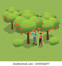 Happy family having fun in the apple garden isometric 3d vector illustration concept for banner, website, illustration, landing page, flyer, etc.