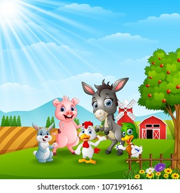 Happy farm animals in daylight