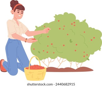 Happy farmer collect berries. Fresh garden plants isolated on white background