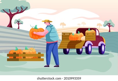Happy farmer gathering pumpkins. Car truck full of pumpkins. Organic vegetables. Autumn harvest. Agricultural work. Colorful vector illustration.