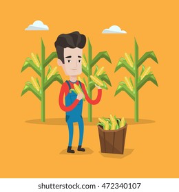 A happy farmer holding a corn cob on the background of corn field. Farmer collecting corn. Farmer standing near basket full with corn. Vector flat design illustration. Square layout.