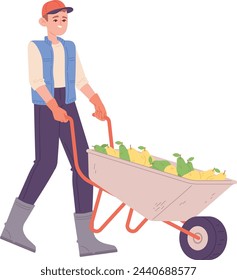Happy farmer with wheelbarrow full of pears. Autumn harvest isolated on white background