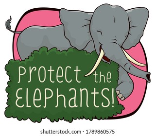 Happy female elephant behind a bush, promoting protection and conservation efforts during its celebration day.