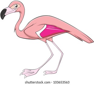 Happy Flamingo Illustration