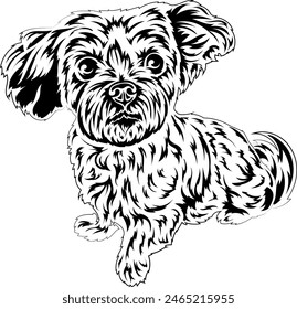 A happy fluffy dog is sitting and waiting for a treat. Vector outline illustration without background