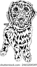 A happy fluffy dog is waiting for a treat. Vector outline illustration without background