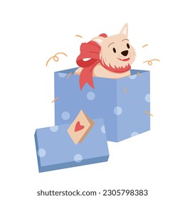 Happy fluffy small dog in open gift box vector illustration. Cartoon isolated surprise present with doggy and ribbon bow on head in blue package with cap, red heart on greeting card for congratulation