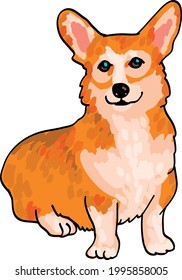 Happy Fluffy Welsh Corgi Pet