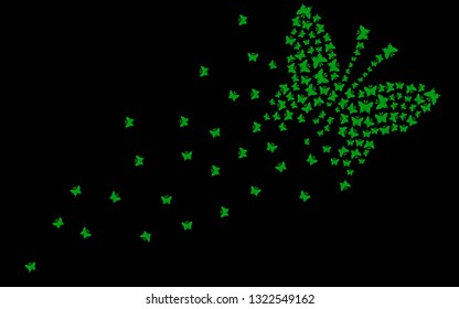 
HAPPY FLYING GREEN BUTTERFLIES ON THE BLACK BACKGROUND