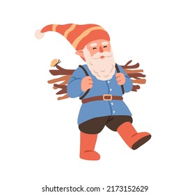 Happy forest gnome going, carrying dry twigs, firewood. Cute funny bearded dwarf walking with brushwood. Childish fairytale character. Fairy flat vector illustration isolated on white background