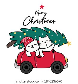 Happy friend cat drive in red car with Christmas pine tree on top, Merry Christmas, cute cat cartoon clip art element flat vector