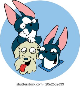 The Happy and fun Pet Dogs