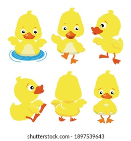 Happy Funny duck cartoon set - Vector Illustration