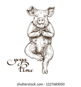 happy funny pig lotus pose yoga time illustration engraving style vector