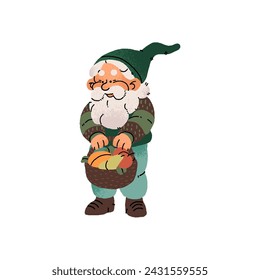 Happy garden gnome hold basket of fruit. Cute dwarf in cap carries autumn harvest. Bearded fairytale character smiles. Old myth gardener rejoices. Flat isolated vector illustration on white background