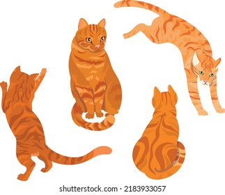 Happy Ginger cats collection. Cats jumping and playing 