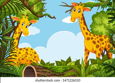 Happy giraffes in jungle scene illustration