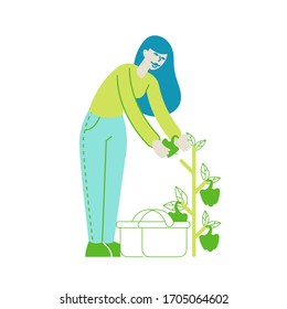 Happy Girl Gardening in Greenhouse or Garden Harvesting Bell Pepper to Basket. Woman Character Caring of Herbs and Plants in Orchard. Horticulture and Olericulture Hobby. Linear Vector Illustration