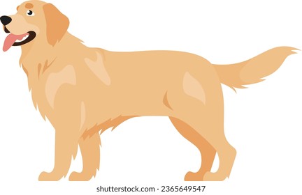 Happy Golden Retriever, pedigree dog, side view, Icon Isolated Sign Flat Style Vector Illustration Symbol on White Background