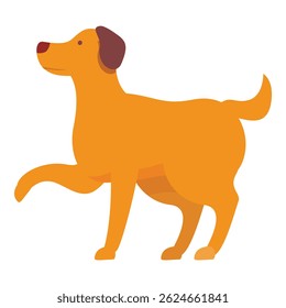 Happy golden retriever standing on three legs, with one paw raised