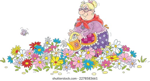 Happy granny watering colorful garden flowers on a pretty flowerbed on a sunny summer day, vector cartoon illustration isolated on a white background