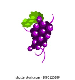 Happy grape cartoon character, girl in funny fruit costume vector Illustration on a white background