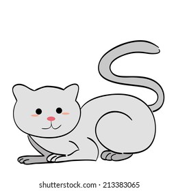 a happy grey cat on a white background