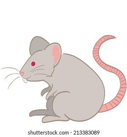 a happy grey mouse on a white background