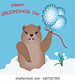 Happy groundhog with balloons - snowdrift, snowdrops - blue background - illustration, vector. Groundhog Day