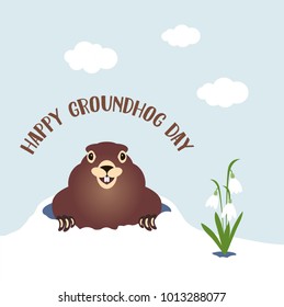 Happy groundhog day card. Holiday winter and spring banner rodent february spring flower snowdrop clouds clouds woodchuck cute shadow cartoon vector illustration, hole fun. Character animal mammal