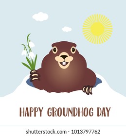 Happy groundhog day card. Holiday winter and spring banner rodent february spring sun, flower snowdrop clouds woodchuck, cute shadow cartoon vector illustration, hole fun. Character animal mammal.