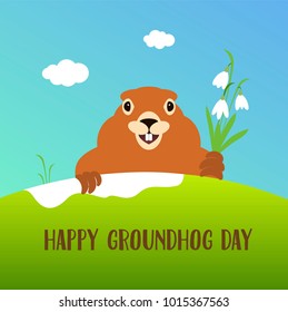 Happy groundhog day card. Holiday winter and spring banner rodent february, spring flower snowdrop clouds woodchuck, cute shadow cartoon vector illustration, hole fun. Character animal mammal