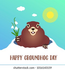 Happy groundhog day card. Holiday winter and spring banner rodent february, spring sun, flower snowdrop clouds woodchuck, cute shadow cartoon vector illustration, hole fun. Character animal mammal