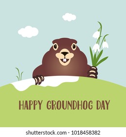 Happy groundhog day card. Holiday winter and spring banner rodent february spring flower snowdrop clouds woodchuck, cute shadow cartoon vector illustration, hole fun. Character animal mammal.