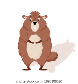 Happy Groundhog Day. A cheerful and happy groundhog smiles. Vector illustration isolated on a white background.