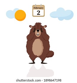 Happy Groundhog Day. The groundhog closes his eyes, afraid of his shadow. Isolated vector illustration on a white background.