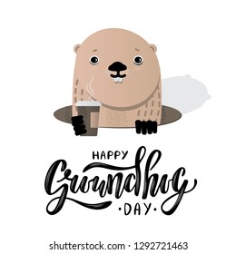 Happy Groundhog Day. Cute groundhog with coffee popping up from his burrow.